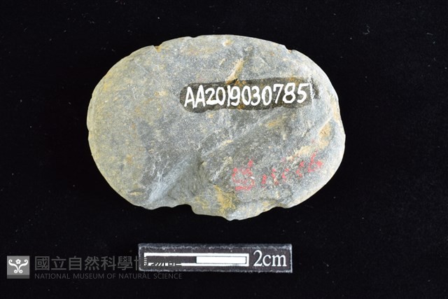 網墜藏品圖，第2張