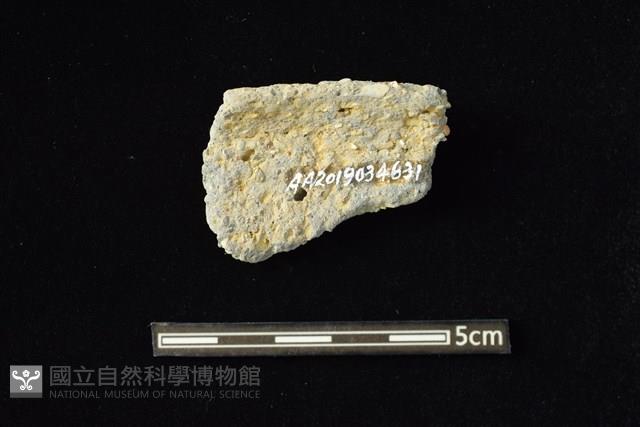 陶容器藏品圖，第2張