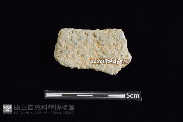 陶缽藏品圖，第2張