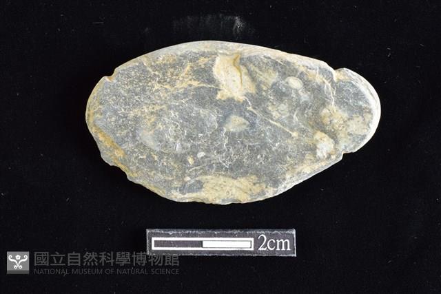 網墜藏品圖，第2張