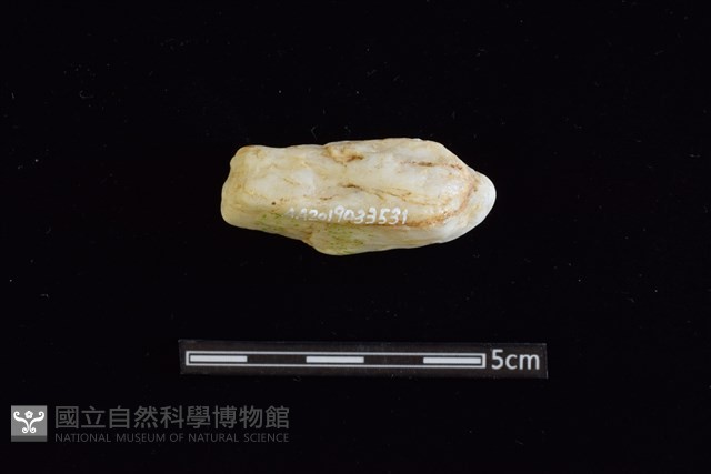 石材藏品圖，第2張