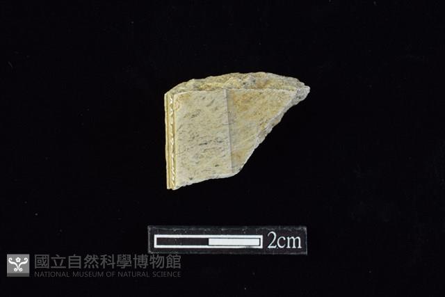 錛鑿形器藏品圖，第1張