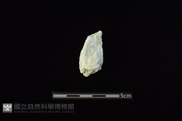 玉料藏品圖，第2張