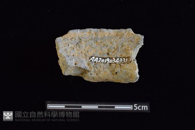 陶罐藏品圖，第2張