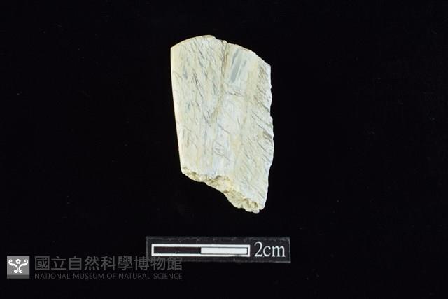 錛鑿形器藏品圖，第1張