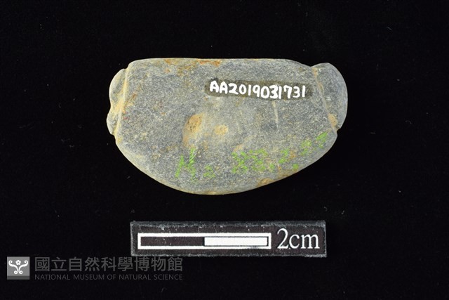 網墜藏品圖，第2張