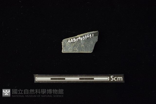 石材藏品圖，第2張