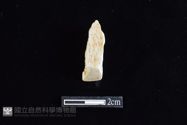 錛鑿形器藏品圖，第1張