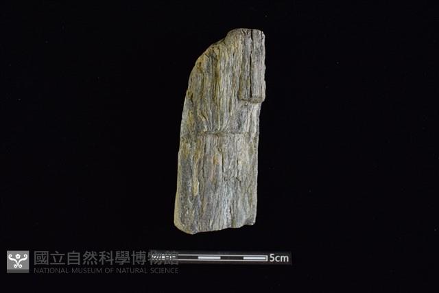 石鎚藏品圖，第1張