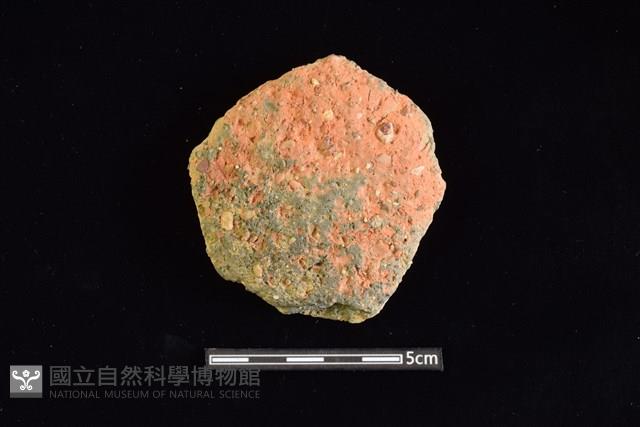 陶片藏品圖，第1張