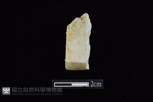 錛鑿形器藏品圖，第1張