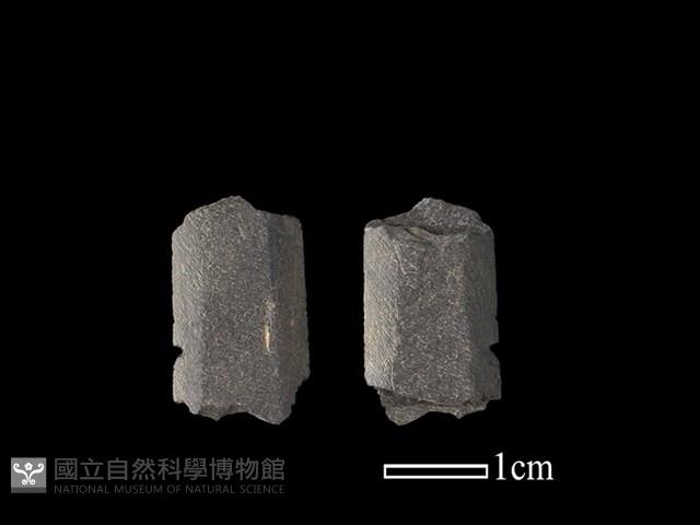 矛鏃形器藏品圖，第1張