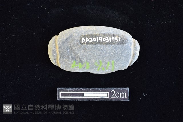 網墜藏品圖，第2張