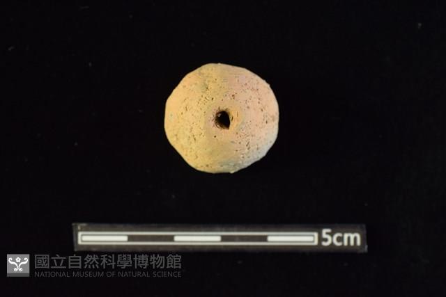 陶紡輪藏品圖，第2張