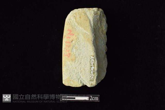 錛鑿形器藏品圖，第2張