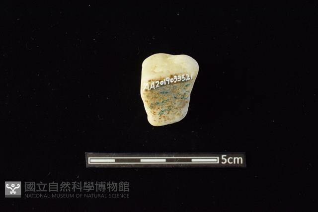 石材藏品圖，第2張