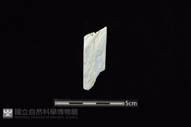 玉料藏品圖，第2張