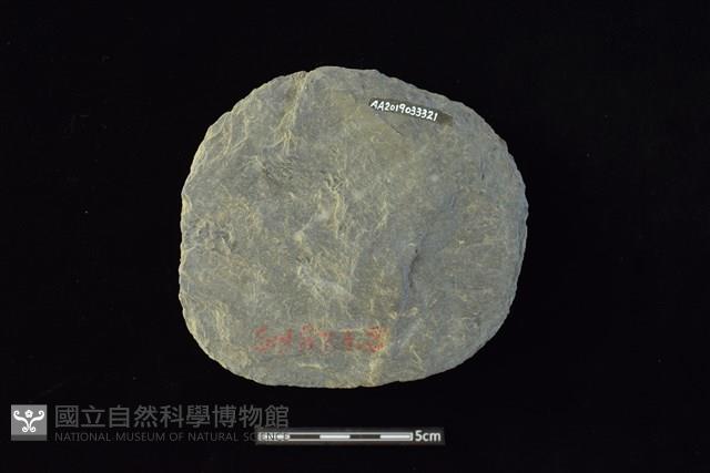 石圓片藏品圖，第2張