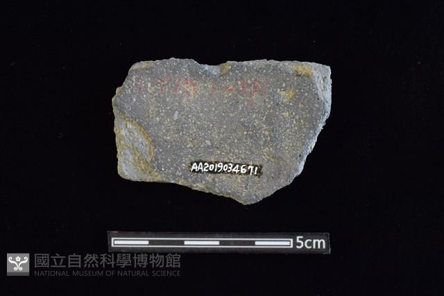 陶片藏品圖，第2張