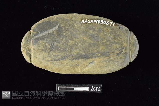 網墜藏品圖，第2張