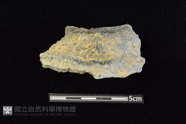 陶罐藏品圖，第1張