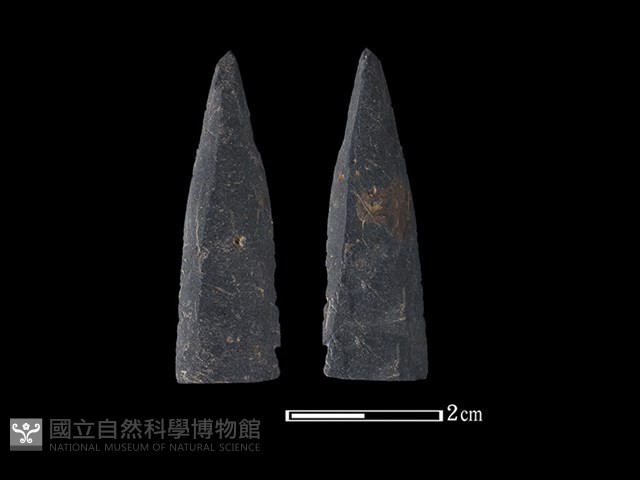 矛鏃形器藏品圖，第1張