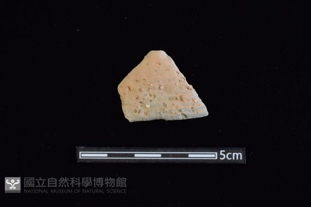 陶片藏品圖，第1張