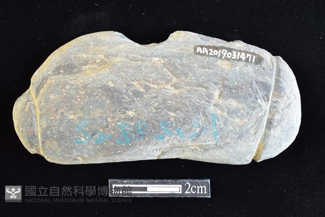 網墜藏品圖，第2張