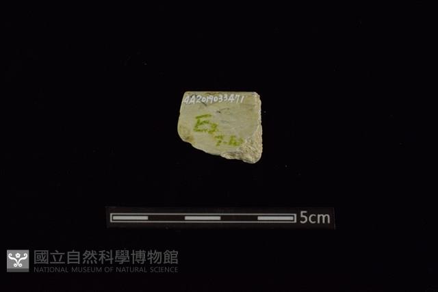 Accession Number:AA2019033471 Collection Image, Figure 2, Total 2 Figures