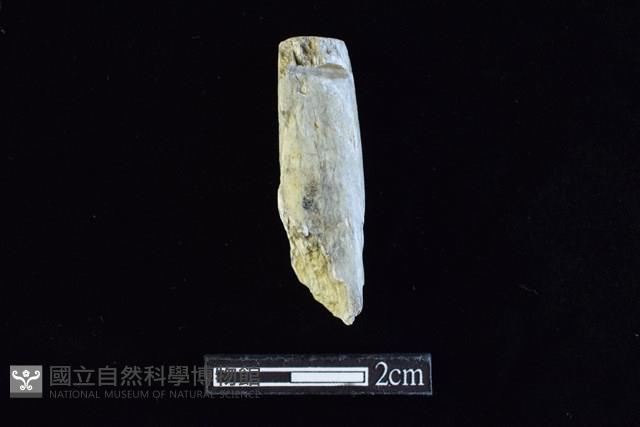 錛鑿形器藏品圖，第1張