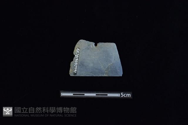 矛鏃形器藏品圖，第2張