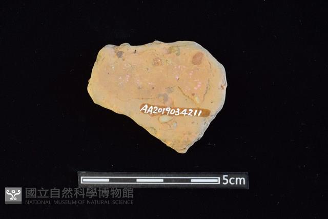 陶片藏品圖，第2張