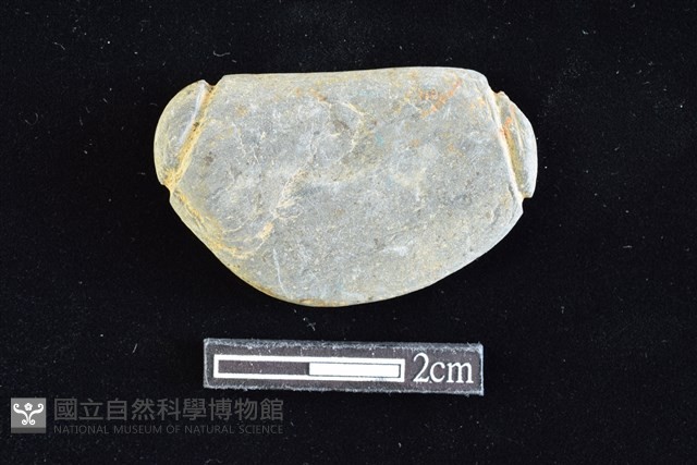 網墜藏品圖，第1張