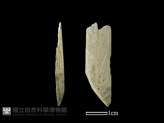 錛鑿形器藏品圖，第1張