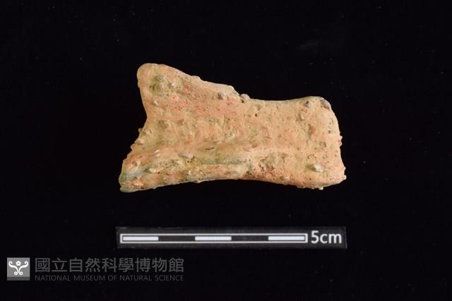 陶罐藏品圖，第1張