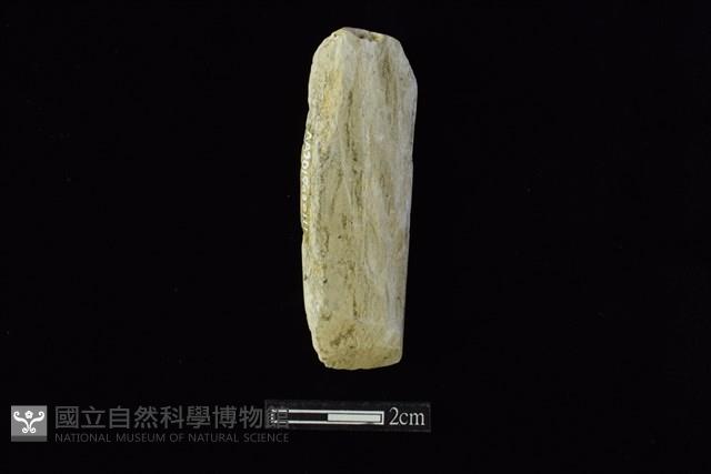 錛鑿形器藏品圖，第1張