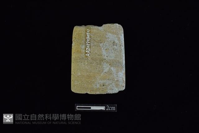 錛鑿形器藏品圖，第2張