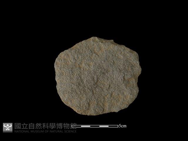 石片器藏品圖，第2張