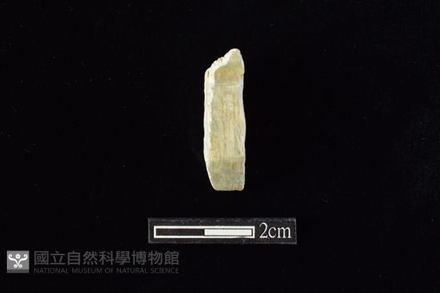 錛鑿形器藏品圖，第1張