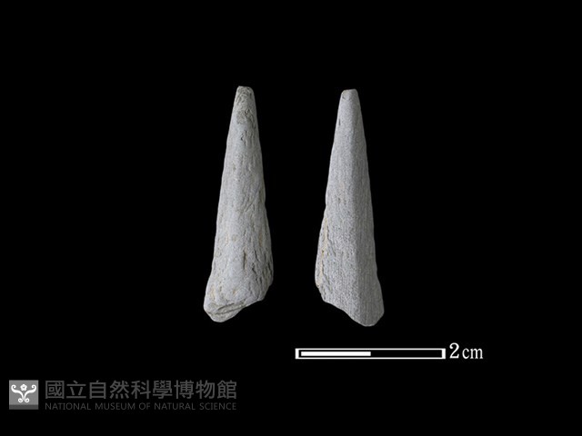 矛鏃形器藏品圖，第1張