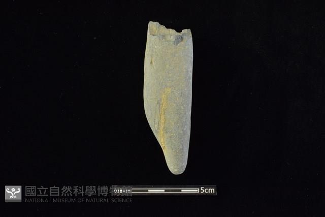 石鎚藏品圖，第1張