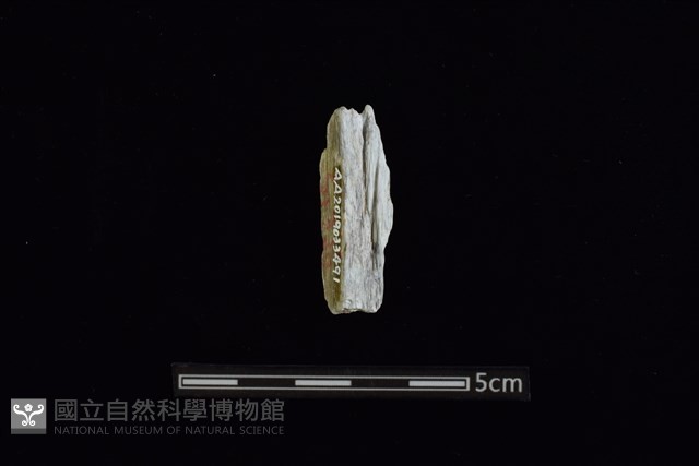 玉料藏品圖，第2張