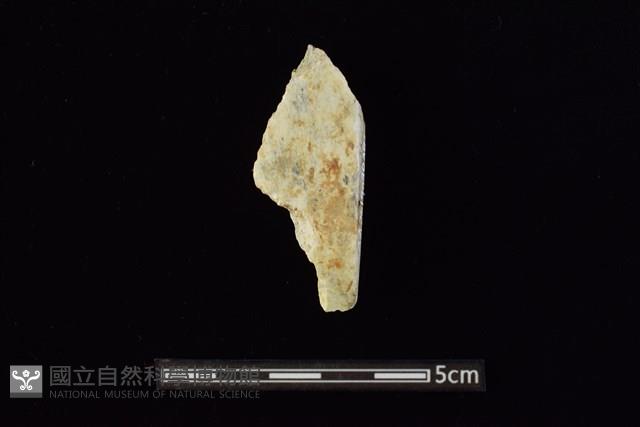 錛鑿形器藏品圖，第1張