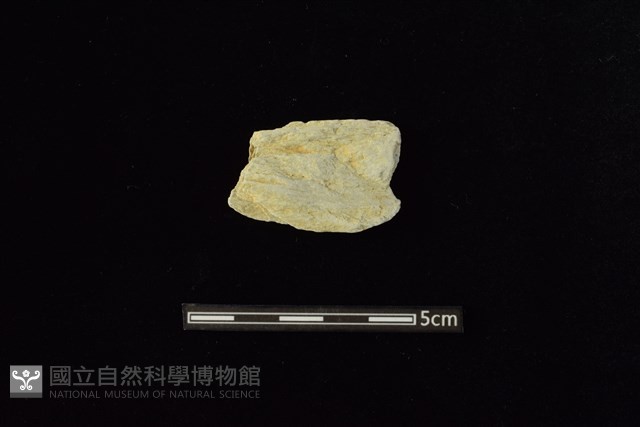 石材藏品圖，第1張