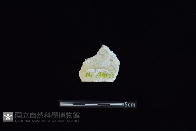矛鏃形器藏品圖，第2張