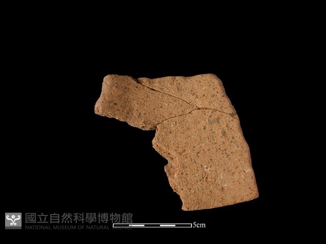 陶片藏品圖，第2張