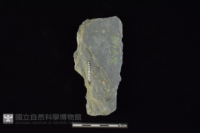 戈形器藏品圖，第2張