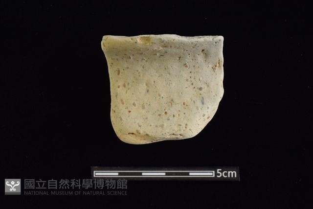 陶罐藏品圖，第1張