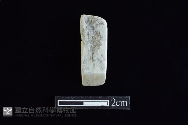 錛鑿形器藏品圖，第1張