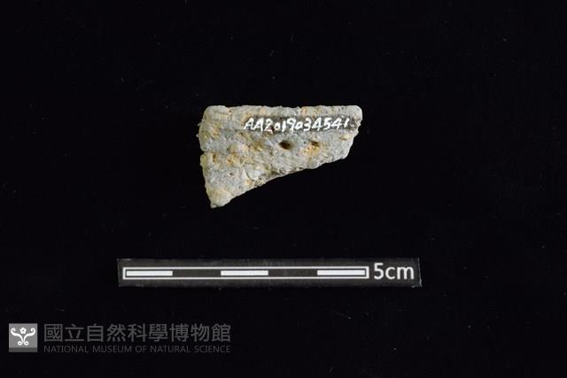 陶缽藏品圖，第2張